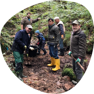 Helfer verbessern im Wald den Lebensraum für den Feuersalamander, etwa durch das Anlegen von Gumpen (Foto: Dr. Jacqueline Kuhn)