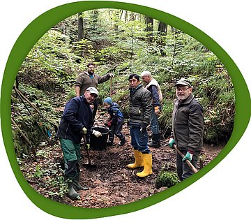 Helfer verbessern im Wald den Lebensraum für den Feuersalamander, etwa durch das Anlegen von Gumpen (Foto: Dr. Jacqueline Kuhn)